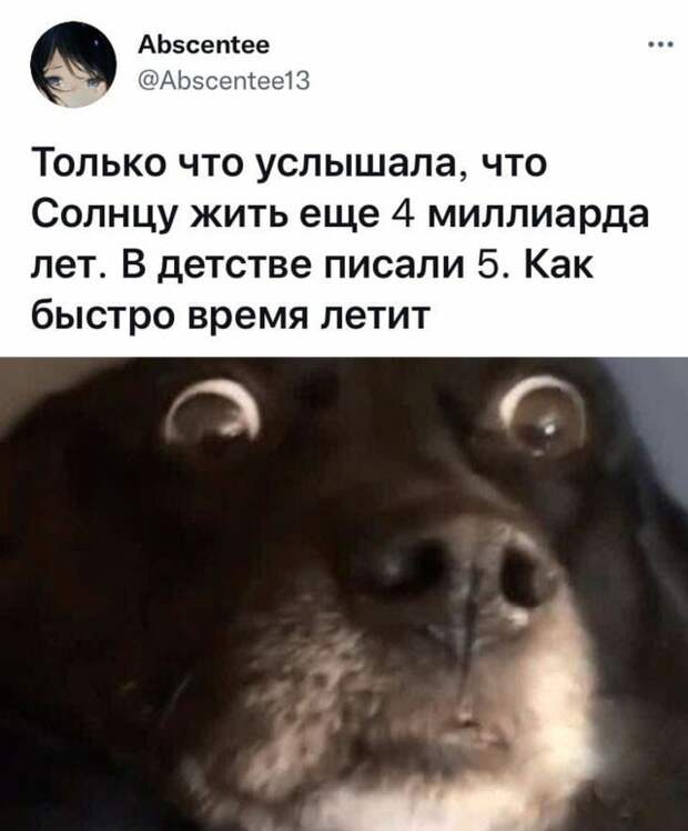 Смешные картинки 26 октября 2021 года