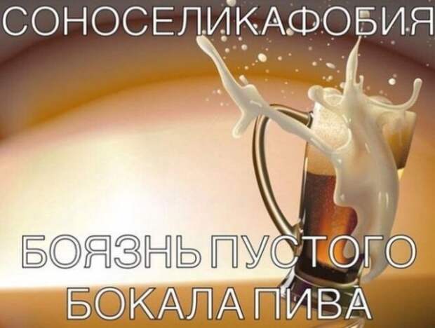 Приколы про алкоголь от пользователей социальных сетей