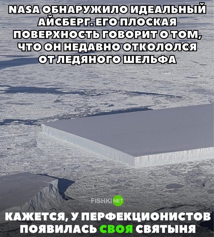 Картинки с надписями для настроения от TainT за 24 октября 2018 картинки с подписями, мэмы, подборка, позитив, юмор