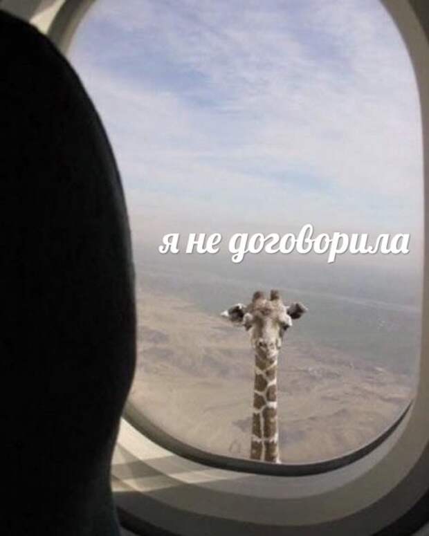 Прикольные картинки и фото 9 сентября (22 шт) Прикольные картинки и фото 9 сентября (22 шт)