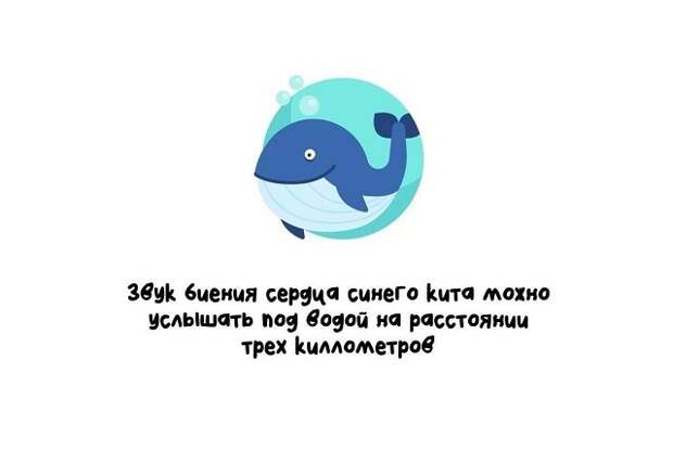 Короткие и интересные факты на все случаи жизни