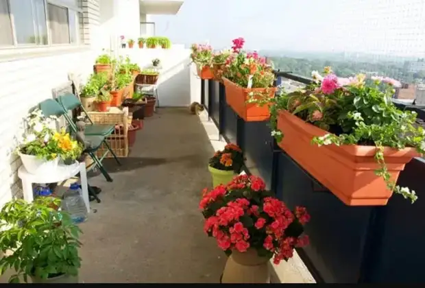 Оптимальный вариант для небольшого балкона: размещение растений на перилах в специальных подвесных горшках