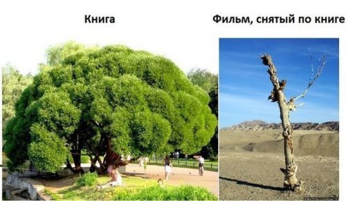 Весёлые картинки с юмором