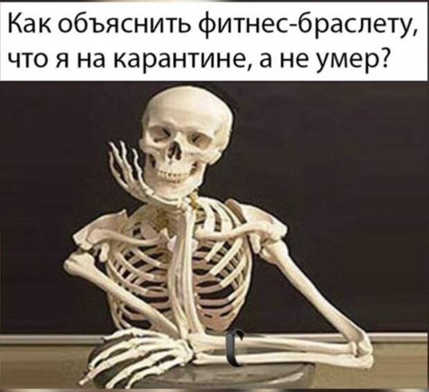 www.vsyako.net
