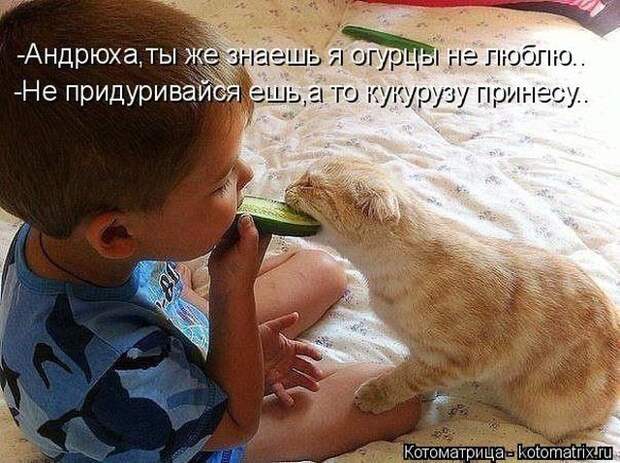 Забавные животные (50 фото)