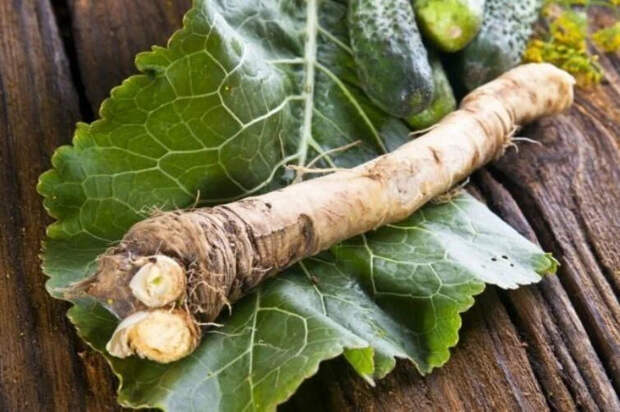 Новый прорыв российских учёных - изобретён биологический накопитель информации!