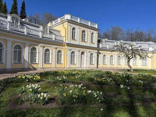 В Петергофе открыли Верхний сад после пятилетней реставрации