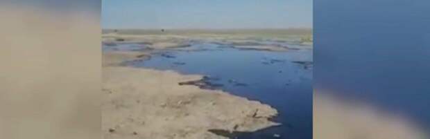 Ответственность за разлив нефти в степи никто не понесет - экологи