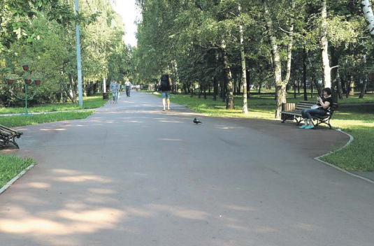 Благоустройство. Фото из открытого источника