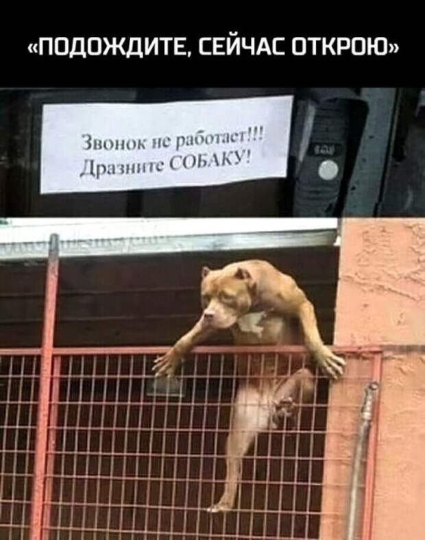 Смешные картинки (20 фото)
