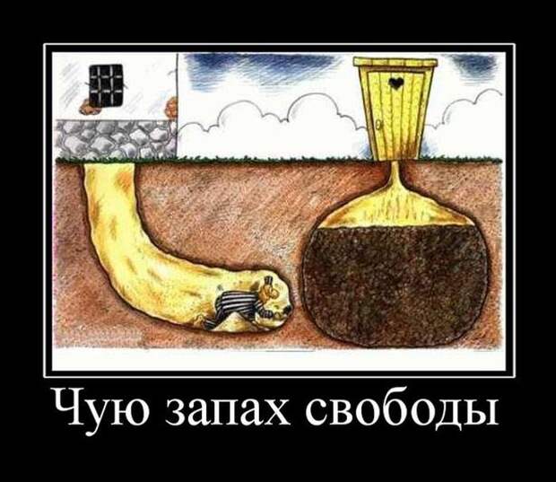 Забавные демотиваторы для настроения (11 фото) Забавные демотиваторы для настроения (11 фото)