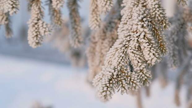 До -30. О погоде в Барнауле 17 января