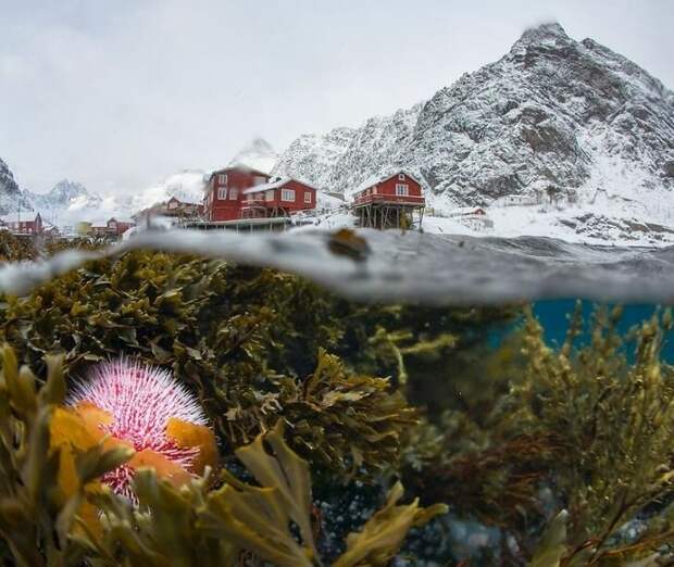 Sergey Lukankin / National Geographic
