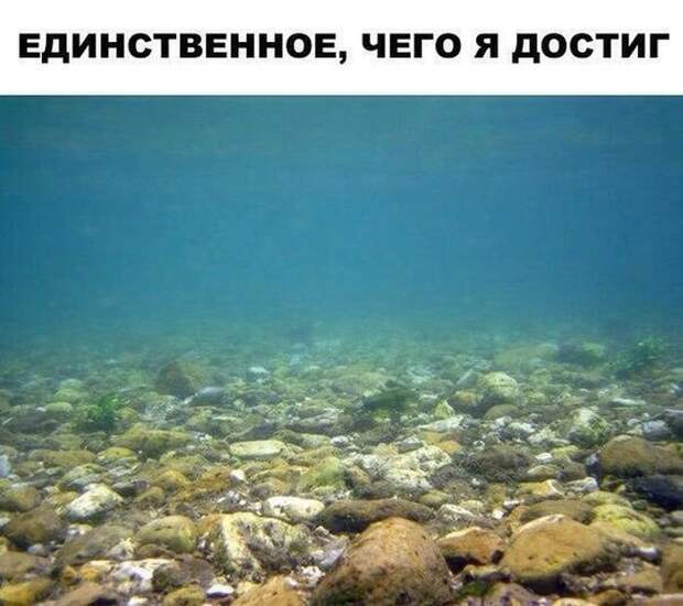 Фотоподборка субботы (111 фото)