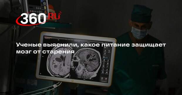 CNN: диета MIND замедлила потерю серого вещества в мозге на 2,5 года