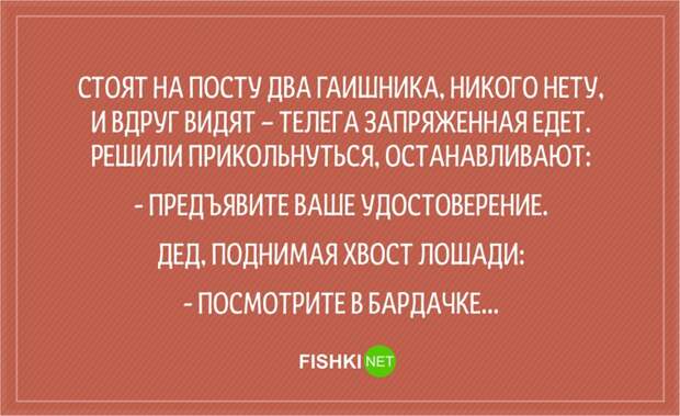 20 анекдотов о сотрудниках ГИБДД Анекдоты, гаи, гибдд