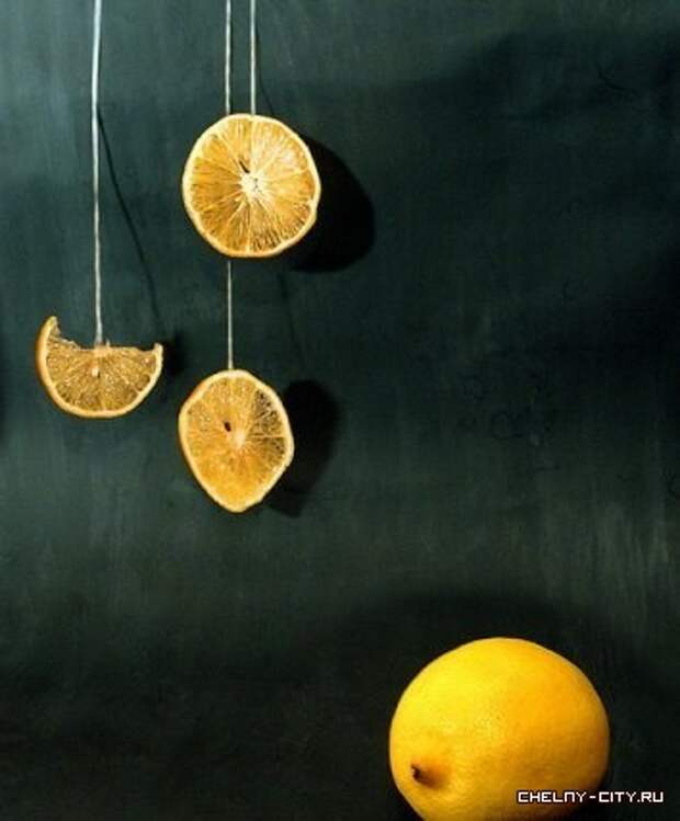 Факты о лимонах, в картинках (15 фото)