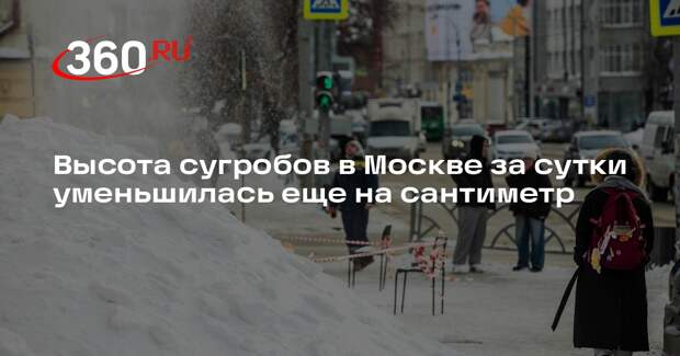 Высота сугробов в Москве за сутки уменьшилась еще на сантиметр