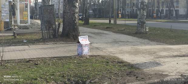 Киевский проспект, ягоды ннннада