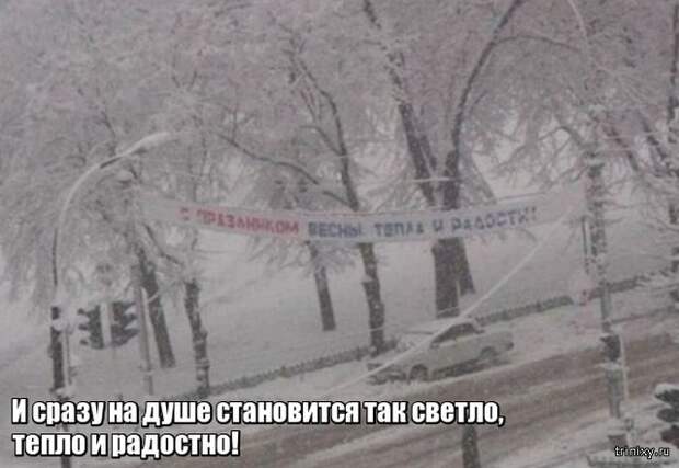 Весна уже пришла? Или пока еще нет? (23 фото)