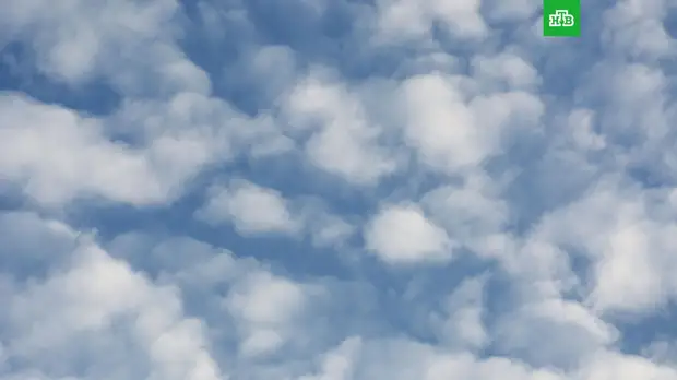 Москвичам рассказали о погоде в четверг