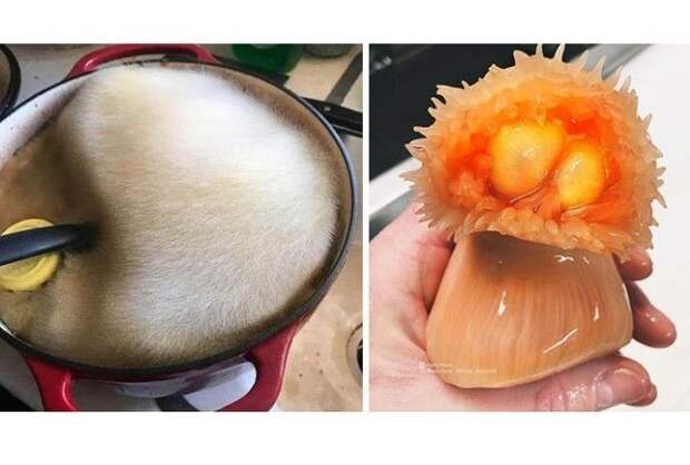 Вы будете поражены!