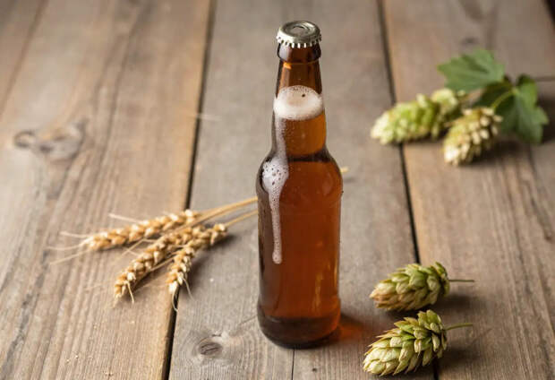 Врач назвала неожиданные полезные свойства пива