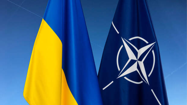 Глава Минобороны Украины призвал Запад «взять шефство» над ВСУ