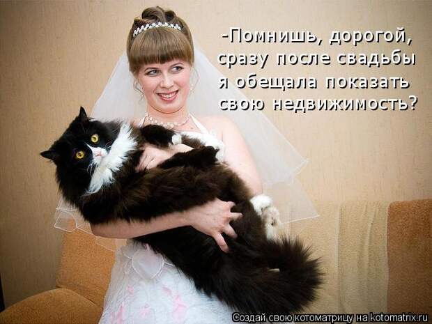 Котоматрица - -Помнишь, дорогой,  сразу после свадьбы  я обещала показать  свою недв