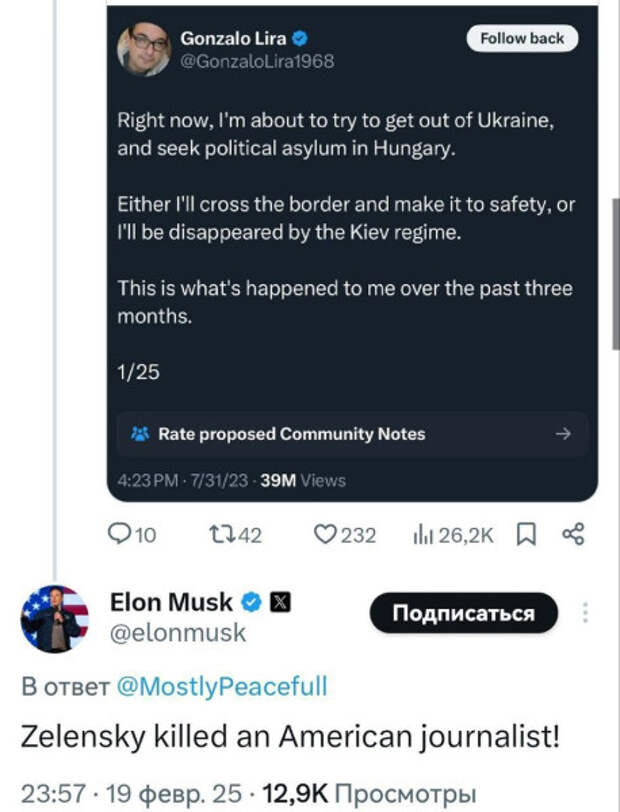 gasit-skrin-musk-journalist.jpg