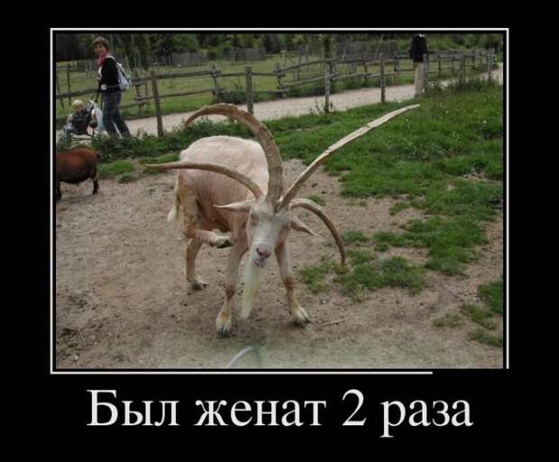 Демотиваторы (29.06.16) Демотиваторы (29.06.16)
