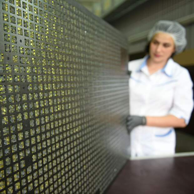 За полвека «Технология» обеспечила надежную эксплуатацию свыше 90 космических аппаратов