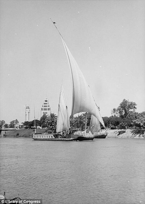 Атмосфера стремительно меняющегося Каира в 1900 – 1936 годах египет, каир, черно-белые фотографии