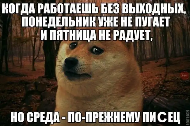 Выходные нет не слышали картинки