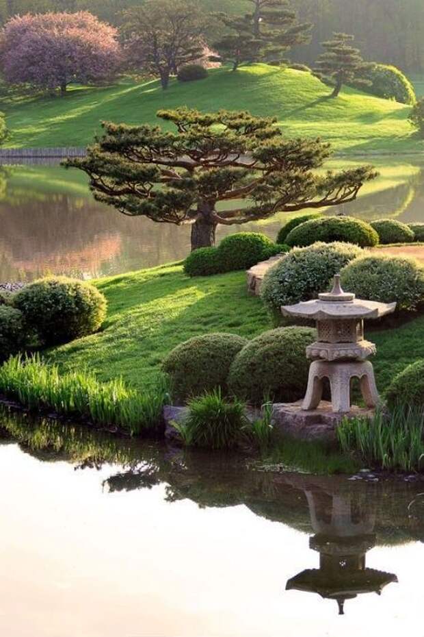 Красивый ландшафтный  дизайн в японском стиле