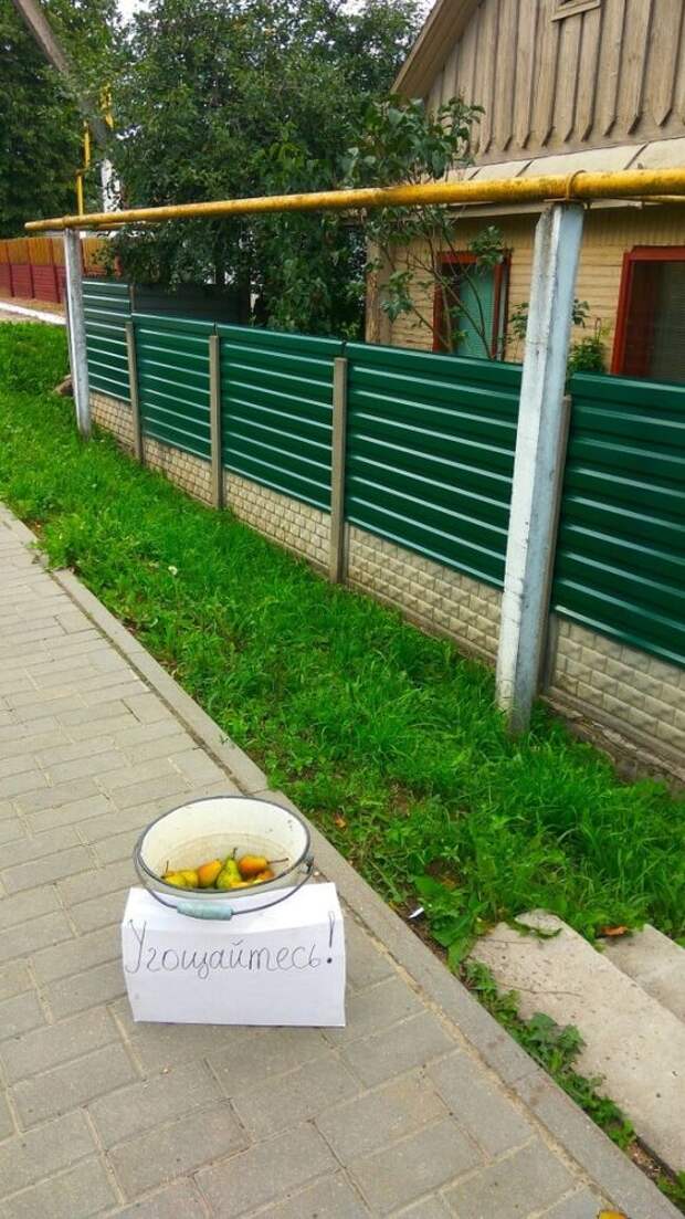 Подборка картинок. Вечерний выпуск (20 фото)