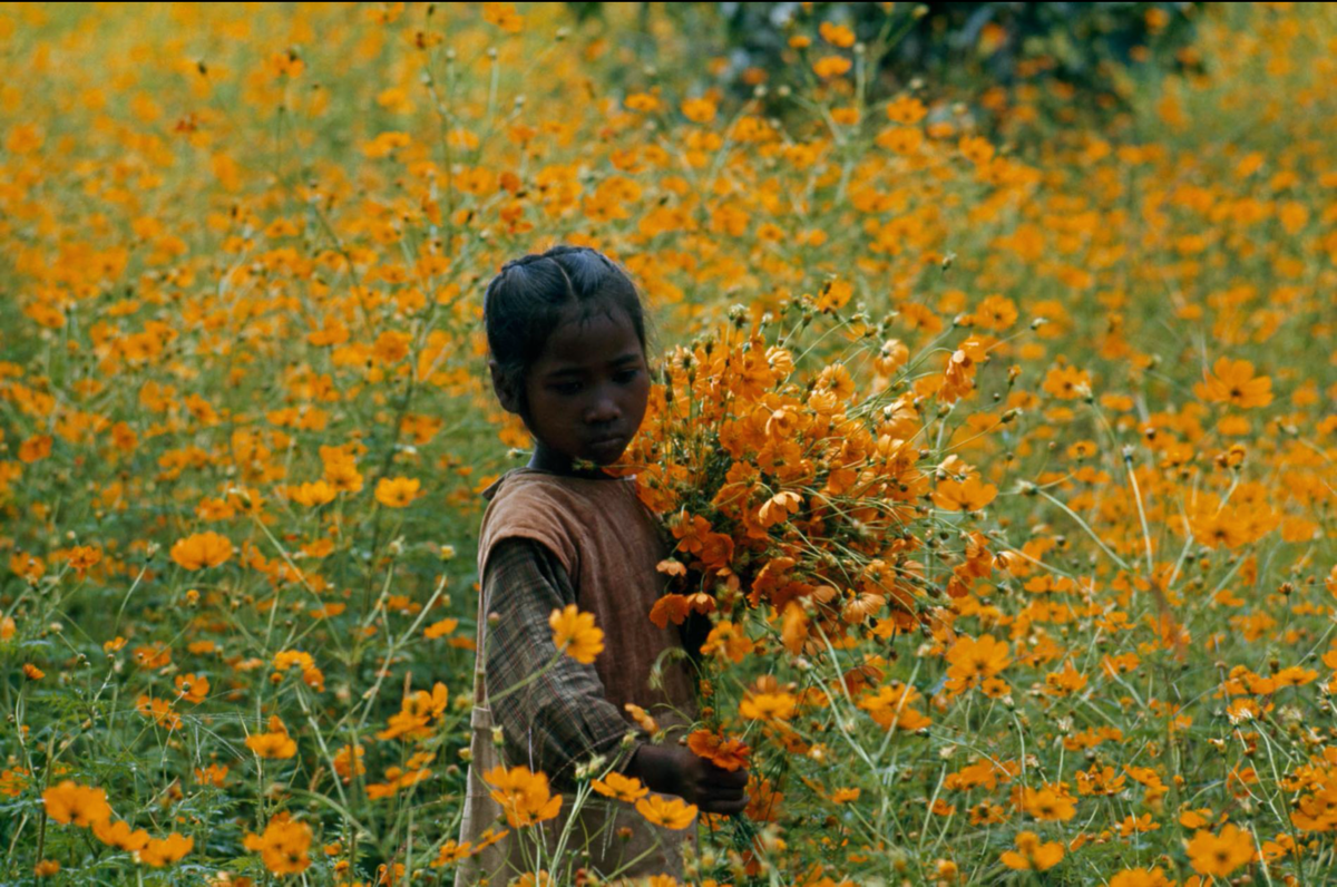 ALBERT MOLDVAY, NAT GEO IMAGE COLLECTION