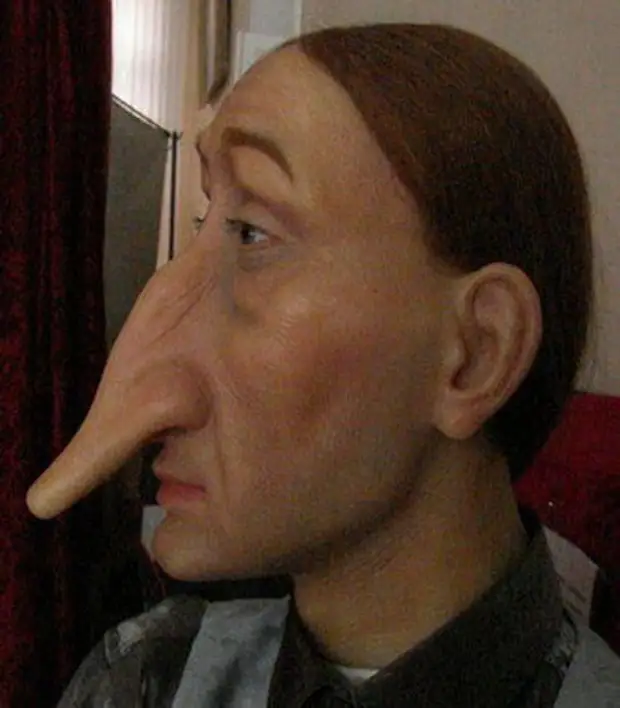 Большой нос картинка. Йохан шнобель. Длинный нос.