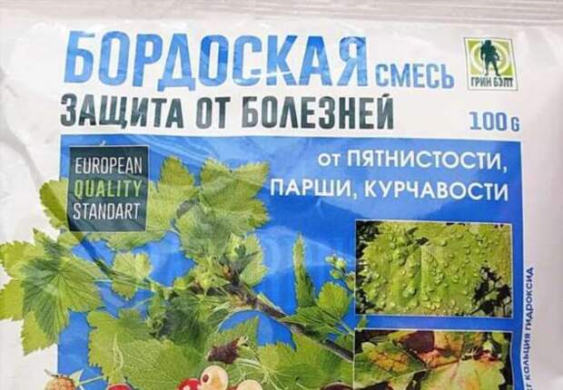 Как подготовить деревья к зимовке, чтобы защитить от вредителей и хворей