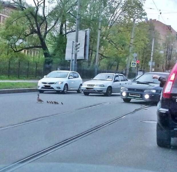 Прикольные картинки абавсём:D (05.05.16)