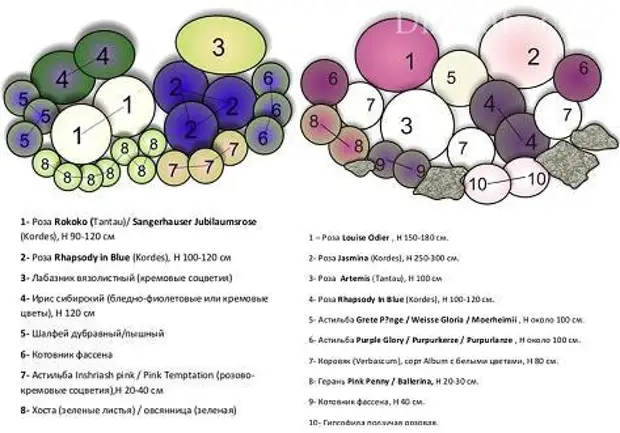 Схемы розариев с названиями и описанием