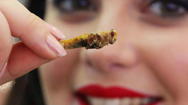 Тараканы и кузнечики вместо мяса: России навяжут посткарантинное меню