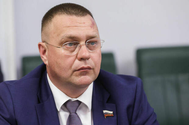Сенатор Кастюкевич поддержал инициативу сделать 31 декабря выходным