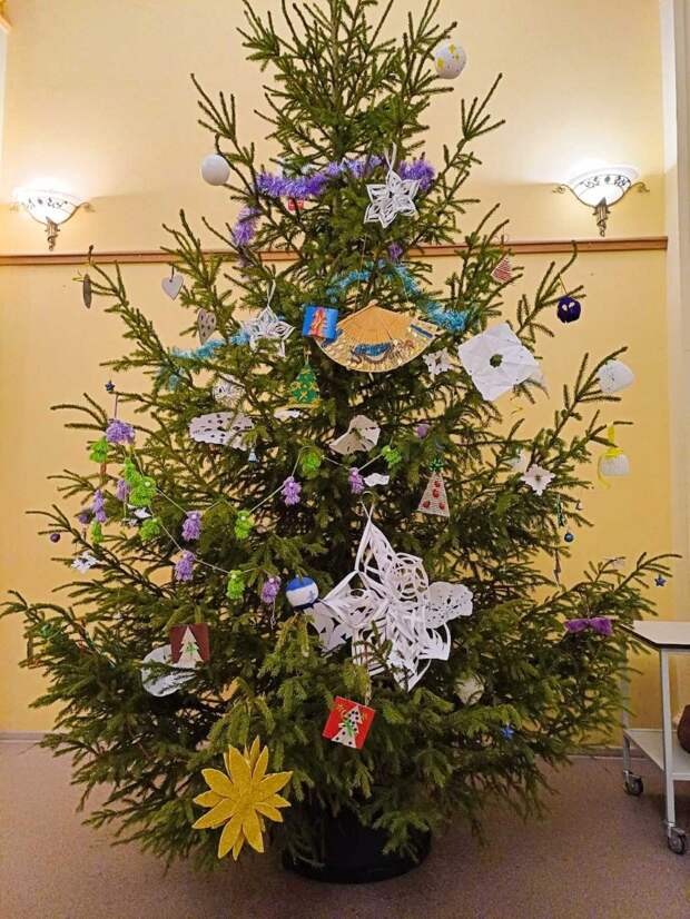 Жителям рассказали, как правильно выбрасывать живые ёлки