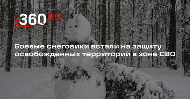 ВС России слепили снеговиков для «защиты» освобожденных территорий