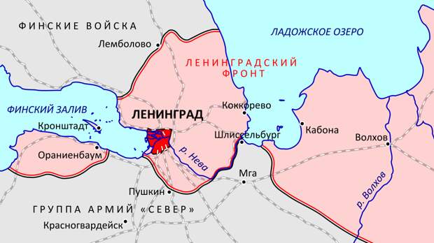 общая диспозиция