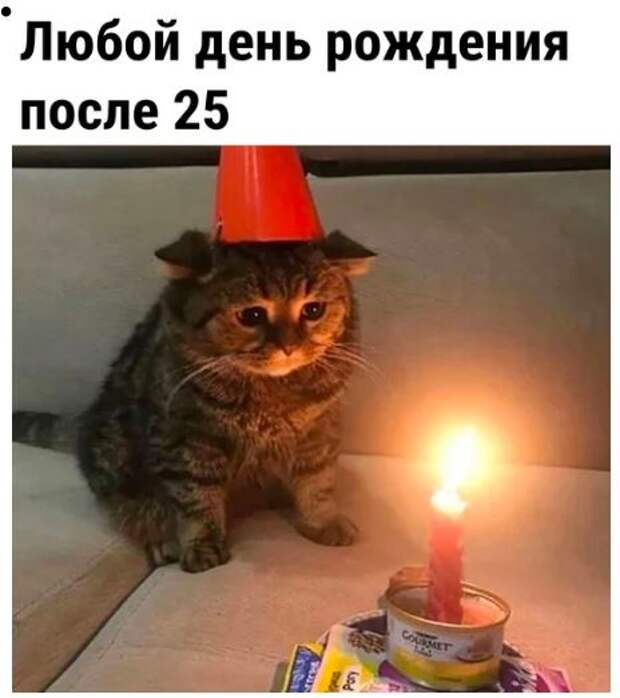 приколы картинки поржать (17)