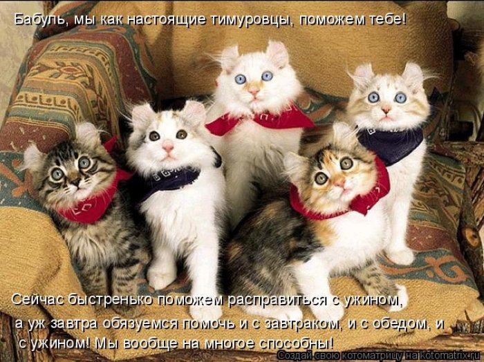 Мысли вслух :)