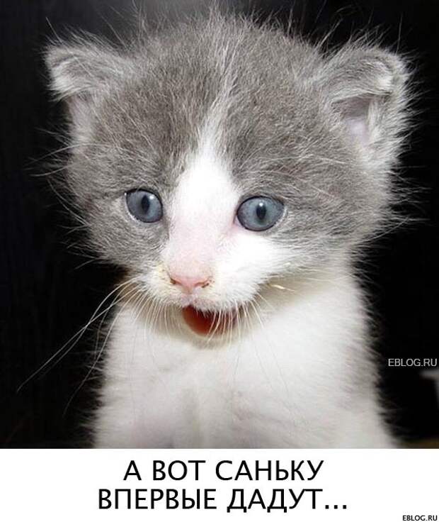 Пятничный позитив! Смотрим, заряжаемся на выходные! 20 прикольных картинок.