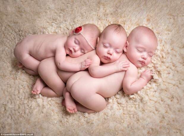 article-2540516-1AB3D90300000578-986_964x716